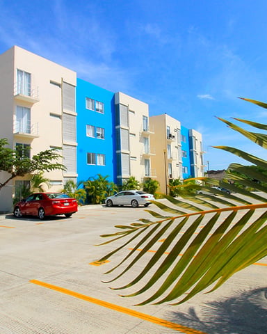 Modern apartment complex with cream, blue, and tan facades, parking lot with two cars, and palm fronds in foreground