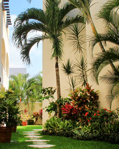 Tropical courtyard with cream-colored buildings, palm trees, flowering plants, and stone pathway